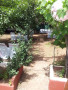 finca-rustica-en-venta-en-carretera-los-rodeos-sn-small-1