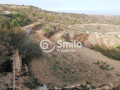 finca-rustica-en-venta-en-calle-la-higuera-sn-small-2