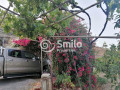 finca-rustica-en-venta-en-calle-la-higuera-sn-small-5