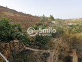 finca-rustica-en-venta-en-calle-la-higuera-sn-small-1