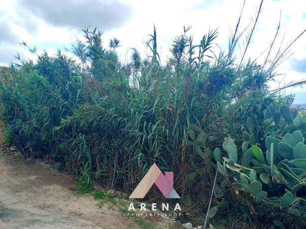 finca-rustica-en-venta-en-charcay-sn-ref-23347ml-big-14