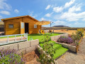 finca-rustica-en-venta-en-tf-645-small-0