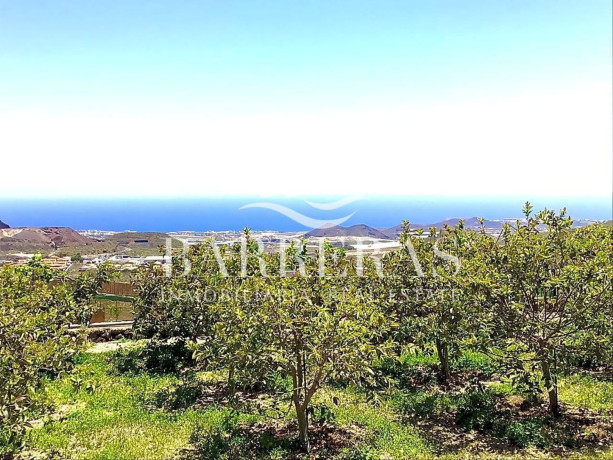 finca-rustica-en-venta-en-aldea-blanca-las-zocas-big-2