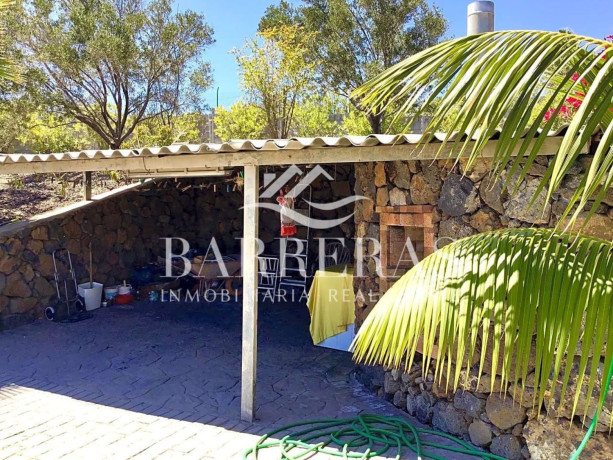 finca-rustica-en-venta-en-aldea-blanca-las-zocas-big-23