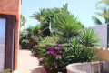 casa-o-chalet-independiente-en-venta-en-golf-del-sur-amarilla-golf-ref-2346-small-10