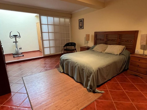 casa-o-chalet-independiente-en-venta-en-san-fernando-big-13