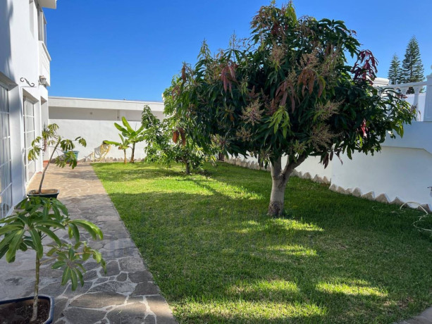 casa-o-chalet-independiente-en-venta-en-calle-isla-de-la-gomera-big-5