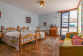 casa-o-chalet-independiente-en-venta-en-distrito-botanico-ref-r12000v-small-21