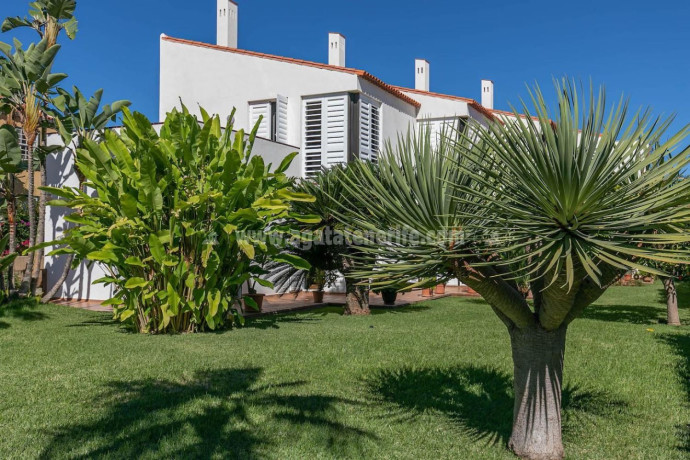 casa-o-chalet-independiente-en-venta-en-distrito-botanico-ref-r12000v-big-4