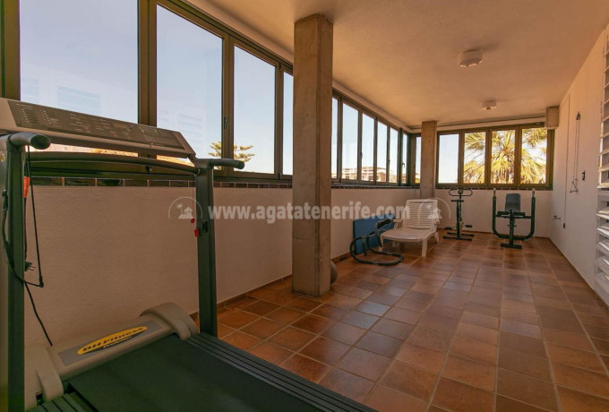 casa-o-chalet-independiente-en-venta-en-distrito-botanico-ref-r12000v-big-19