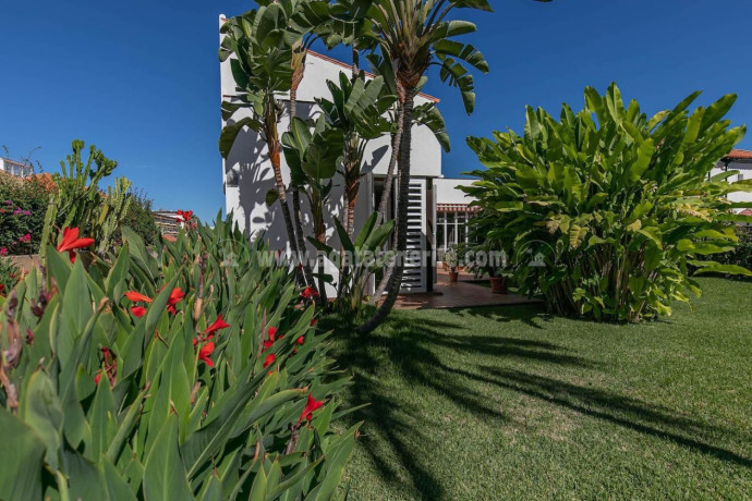 casa-o-chalet-independiente-en-venta-en-distrito-botanico-ref-r12000v-big-7