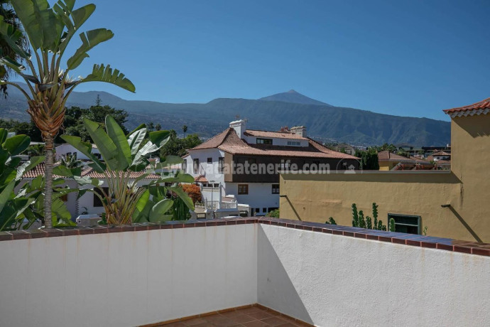 casa-o-chalet-independiente-en-venta-en-distrito-botanico-ref-r12000v-big-25