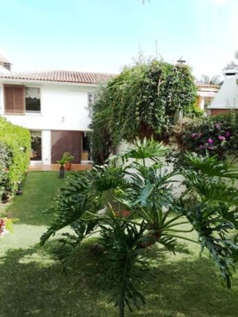 casa-o-chalet-independiente-en-venta-en-urb-crichard-j-yeward-distrito-botanico-big-9