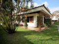 casa-o-chalet-independiente-en-venta-en-distrito-botanico-small-10