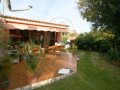 casa-o-chalet-independiente-en-venta-en-distrito-botanico-small-9