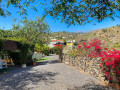 finca-rustica-en-venta-en-guia-de-isora-small-12