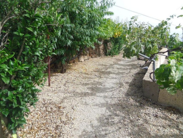 finca-rustica-en-venta-en-la-tuna-1-big-1