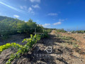 finca-rustica-en-venta-en-guia-de-isora-small-18