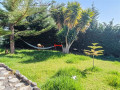 finca-rustica-en-venta-en-guia-de-isora-small-17