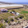 finca-rustica-en-venta-en-carretera-a-alcala-small-5