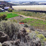 finca-rustica-en-venta-en-carretera-a-alcala-small-8