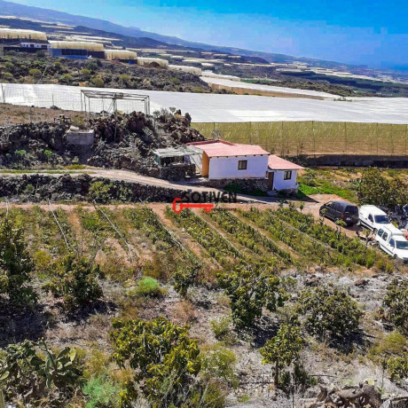 finca-rustica-en-venta-en-carretera-a-alcala-big-3