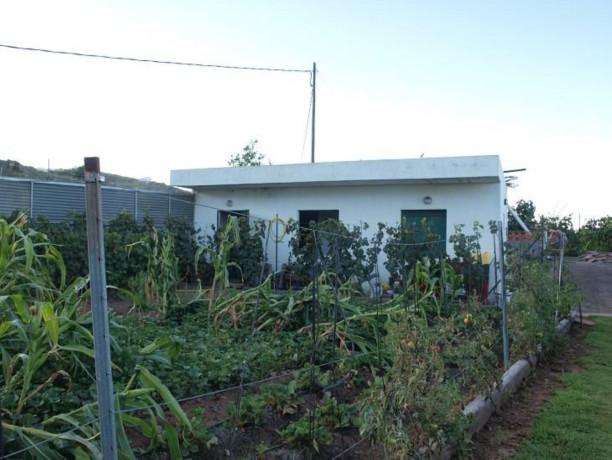 finca-rustica-en-venta-en-guia-de-isora-big-13