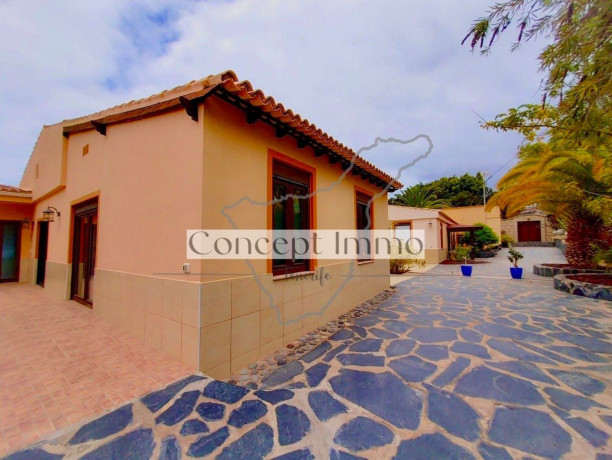 casa-o-chalet-independiente-en-venta-en-playa-san-juan-big-16