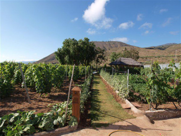 finca-rustica-en-venta-en-guia-de-isora-big-9