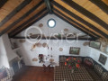 casa-o-chalet-en-venta-en-el-salto-los-blanquitos-small-27