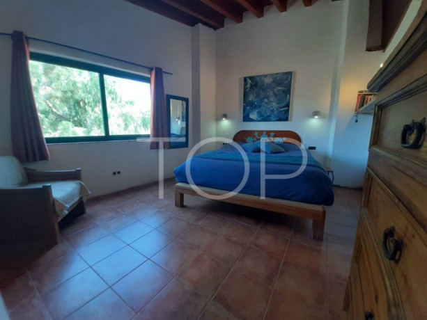 casa-rural-en-venta-en-charco-del-pino-big-20