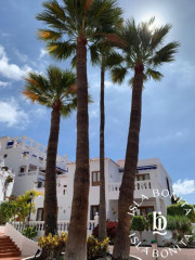 Estudio en venta en Los Cristianos