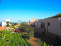 finca-rustica-en-venta-en-la-vega-el-amparo-cueva-del-viento-small-4