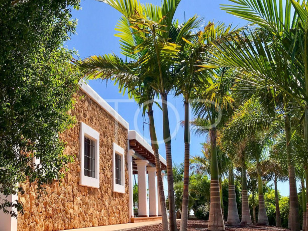 casa-rural-en-venta-en-playa-san-juan-big-8