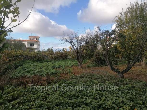 casa-de-pueblo-en-venta-en-guia-de-isora-big-5