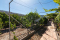 finca-rustica-en-venta-en-calle-puerto-rico-3-small-17