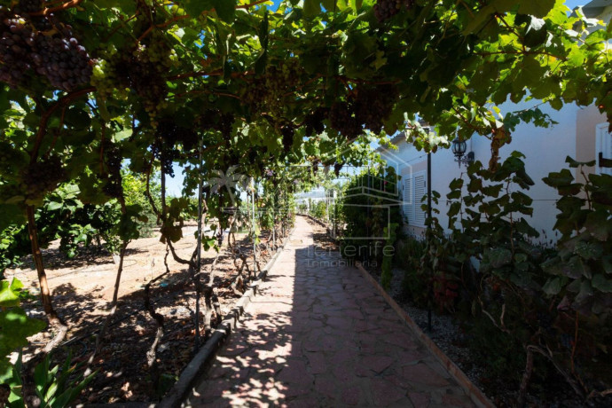 finca-rustica-en-venta-en-calle-puerto-rico-3-big-9