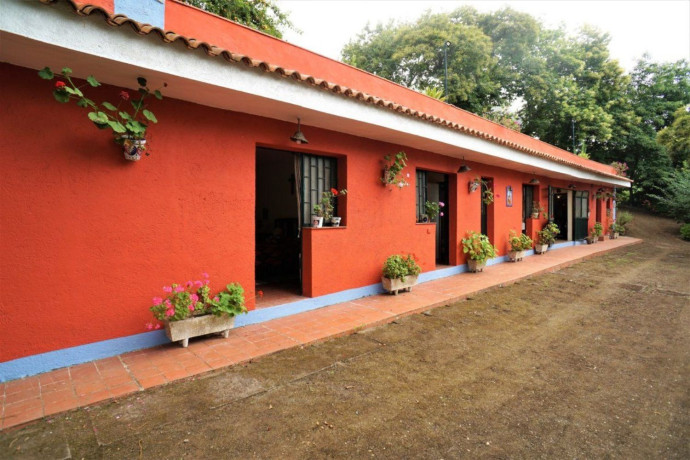 finca-rustica-en-venta-en-el-bebedero-pinolere-aguamansa-big-5