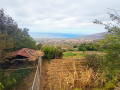 finca-rustica-en-venta-en-camino-de-chasna-small-5