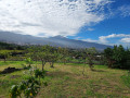 finca-rustica-en-venta-en-lugar-el-rincon-small-3