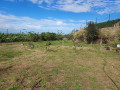 finca-rustica-en-venta-en-lugar-el-rincon-small-2