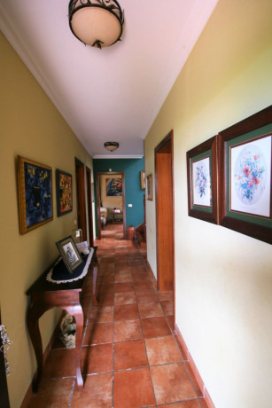 casa-o-chalet-independiente-en-venta-en-la-perdoma-san-antonio-benijos-big-6