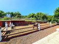 finca-rustica-en-venta-en-camino-cueva-del-negro-small-6