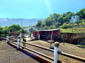 finca-rustica-en-venta-en-camino-cueva-del-negro-small-7