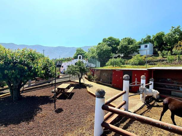 finca-rustica-en-venta-en-camino-cueva-del-negro-big-4