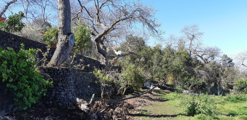 casa-rural-en-venta-en-lugar-cueva-del-negro-big-24