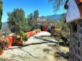 finca-rustica-en-venta-en-la-perdoma-san-antonio-benijos-small-2