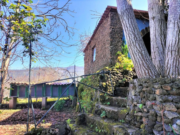 finca-rustica-en-venta-en-la-perdoma-san-antonio-benijos-big-22