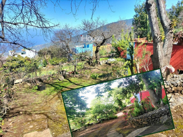 finca-rustica-en-venta-en-la-perdoma-san-antonio-benijos-big-5