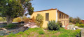 finca-rustica-en-venta-en-tf-322-small-11